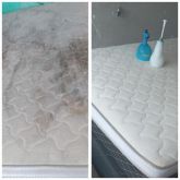 Limpeza de sofás colchão